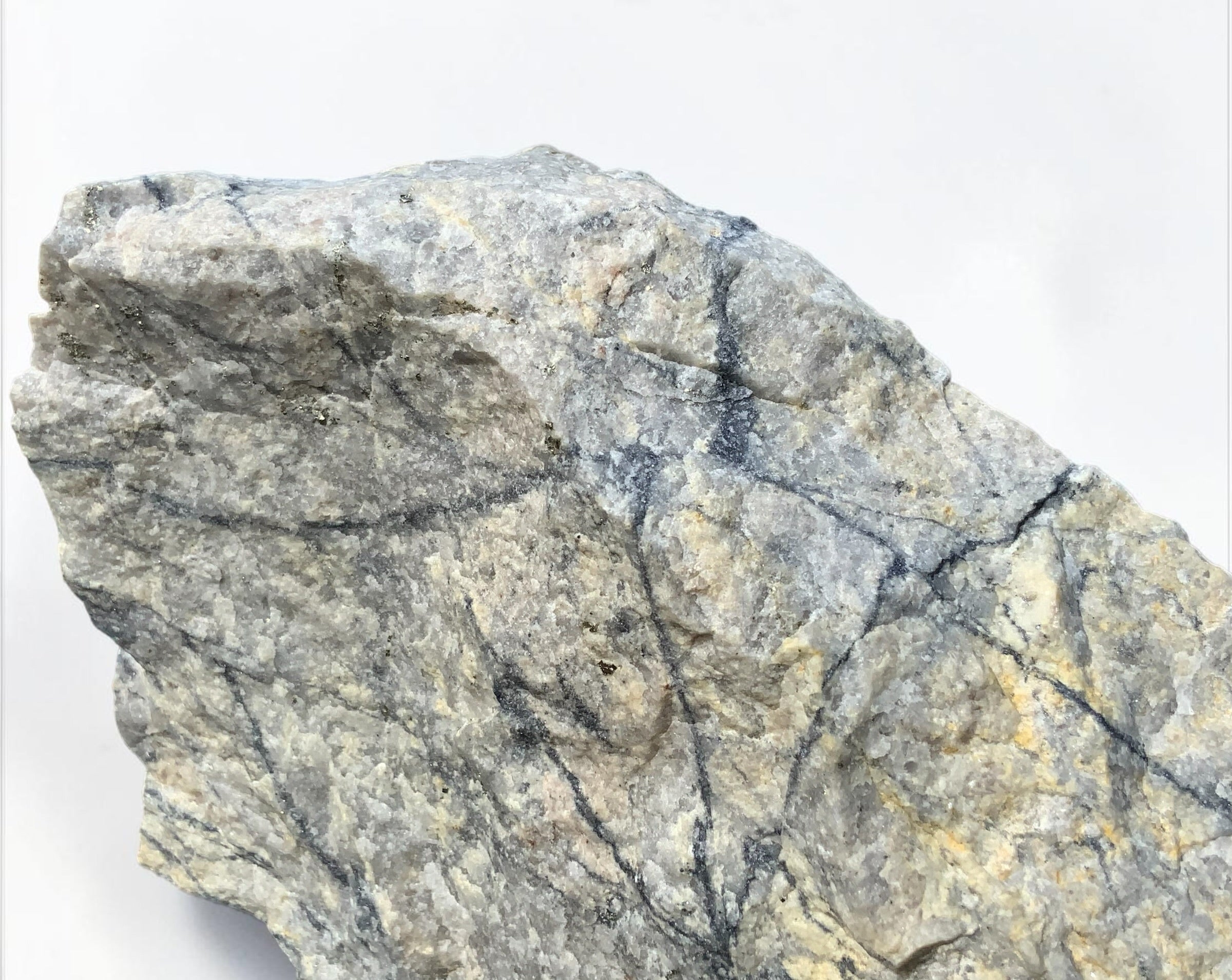 Climax Mine Molybdenite with Pyrite in Quartz Matrix - Lake County, Colorado