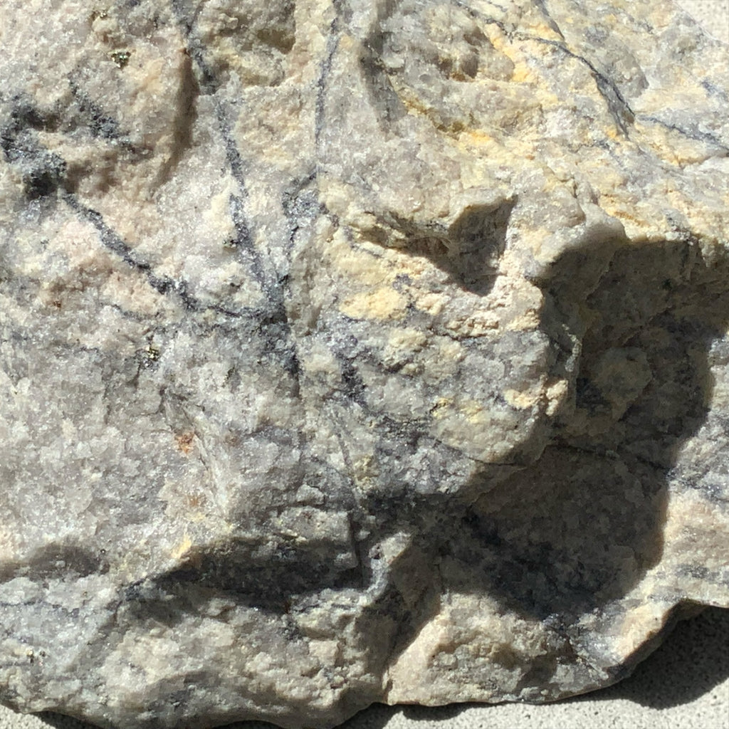 Climax Mine Molybdenite with Pyrite in Quartz Matrix - Lake County, Colorado