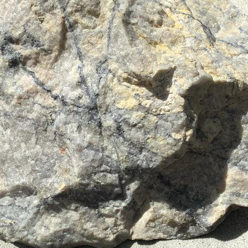 Climax Mine Molybdenite with Pyrite in Quartz Matrix - Lake County, Colorado